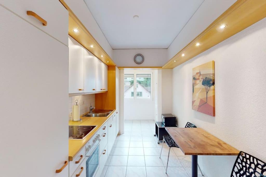 Executive 1 Bedroom Flat, City Center チューリッヒ エクステリア 写真